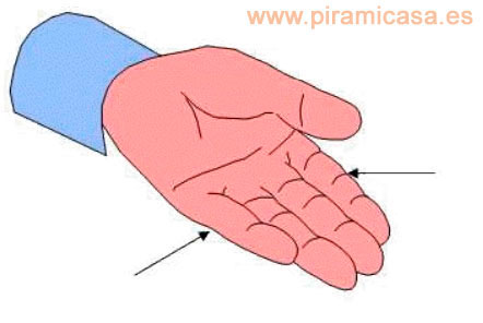 Zonas de la mano (cara interna) para presionar con la varilla en el dolor de hombro