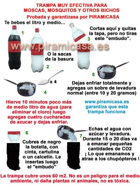 Instrucciones trampa casera moscas y mosquitos