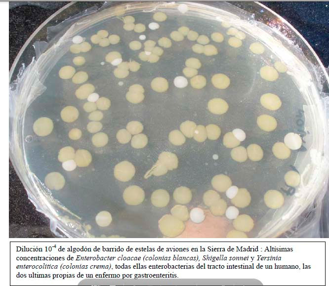 Muestra biológica de chemtrails