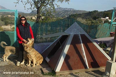 Piramascota exterior con perros